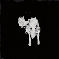 Sigur Rós - Kveikur